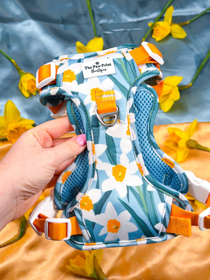 Daffodil Daze Adventure Paws Harness
