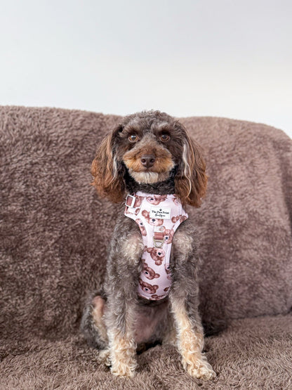 The Little Bear Cub Adventure Paws Harness