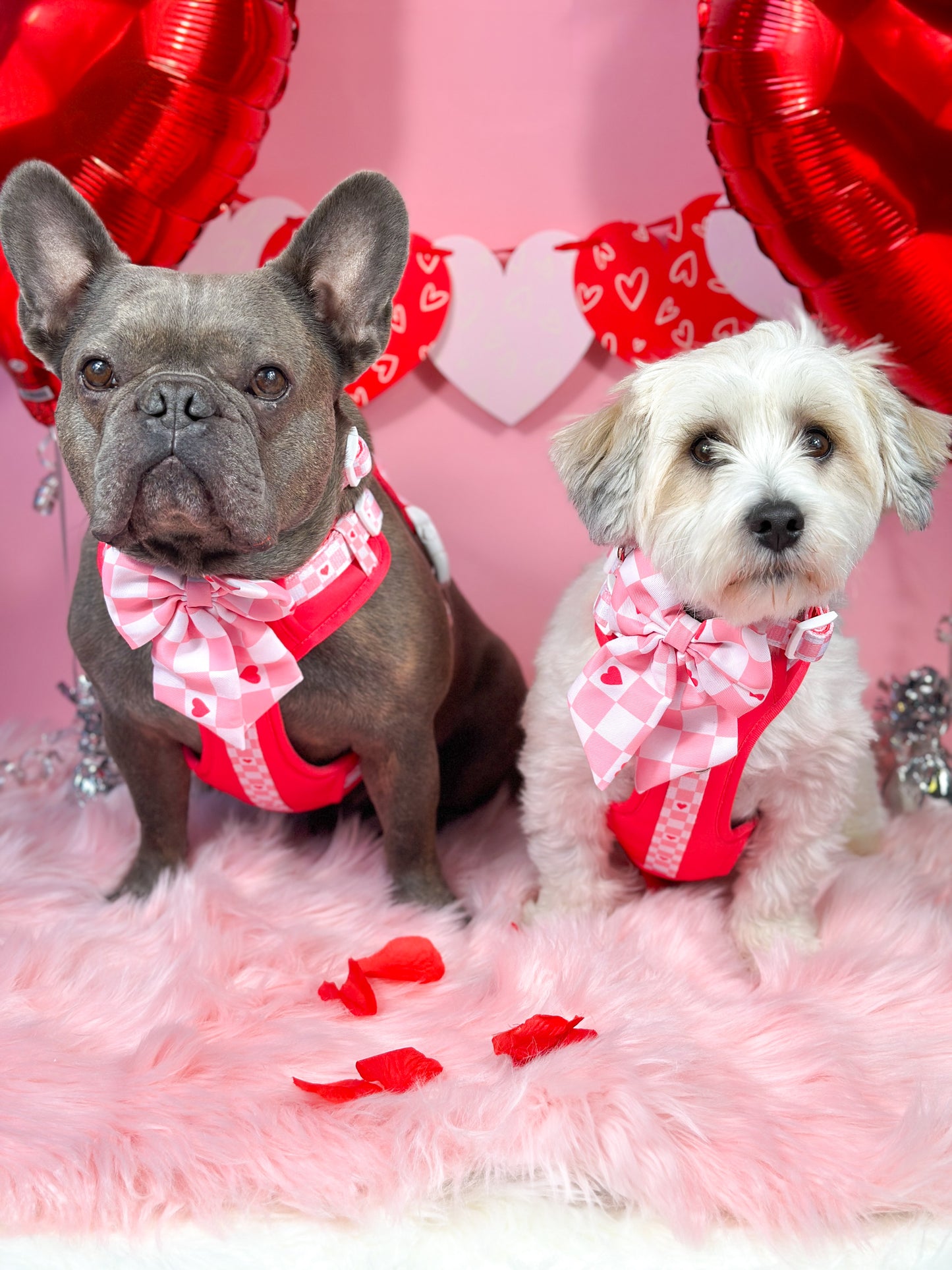 The Fur-ever Love Bow Tie