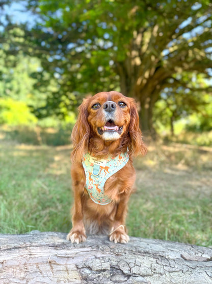 Bambi in Bloom Adjustable Harness
