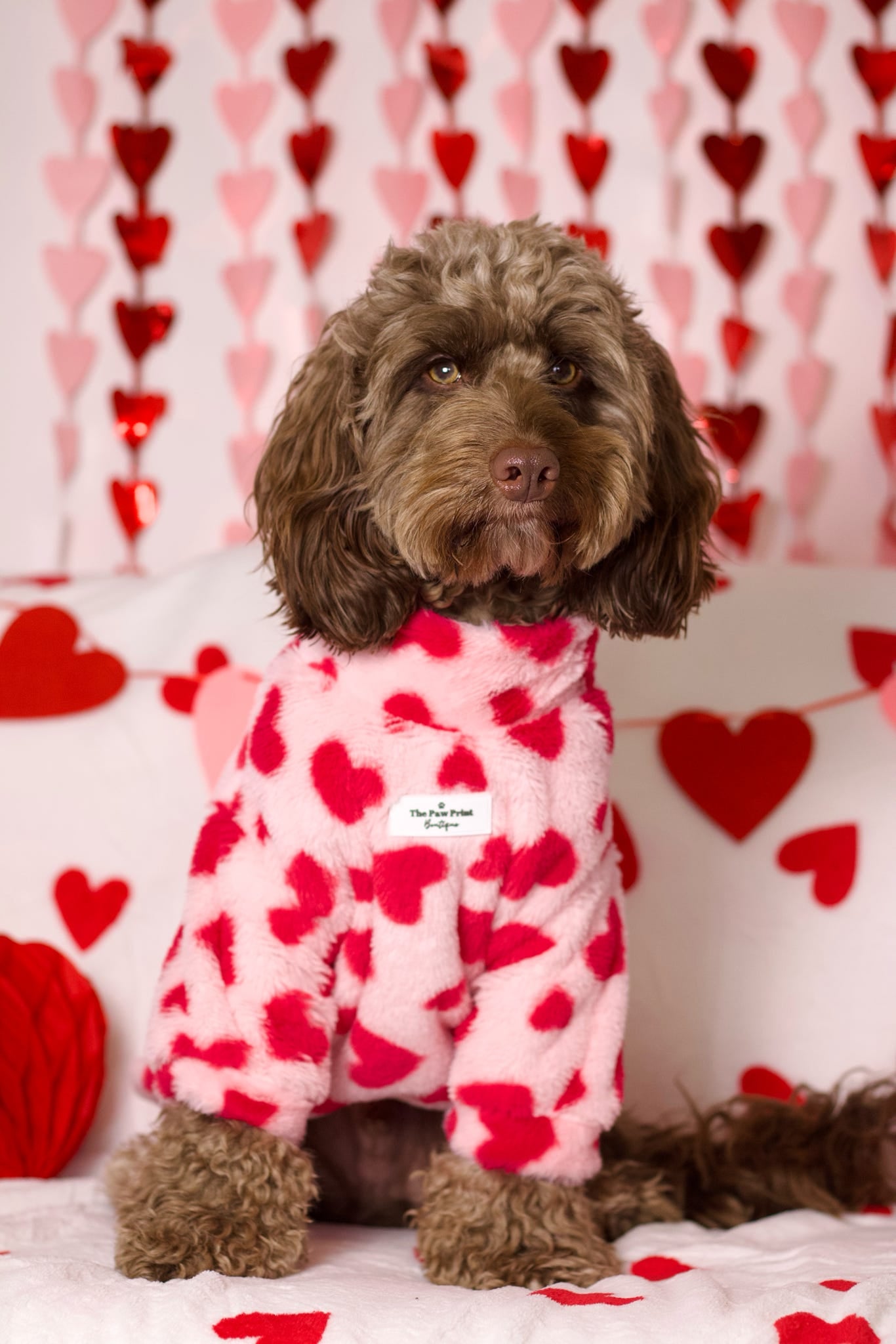 The Love Hearts Fluffy & Fabulous Fleece