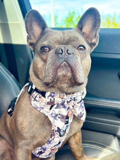 The French Bulldog Adventure Paws Harness