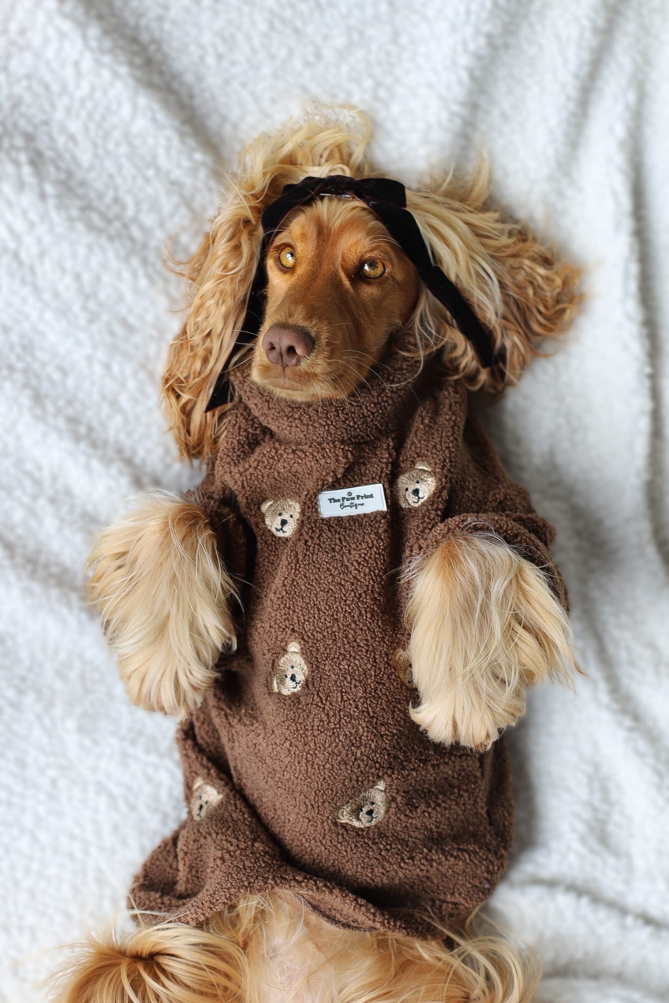 The Embroidered Little Bear Cub Teddy Fleece