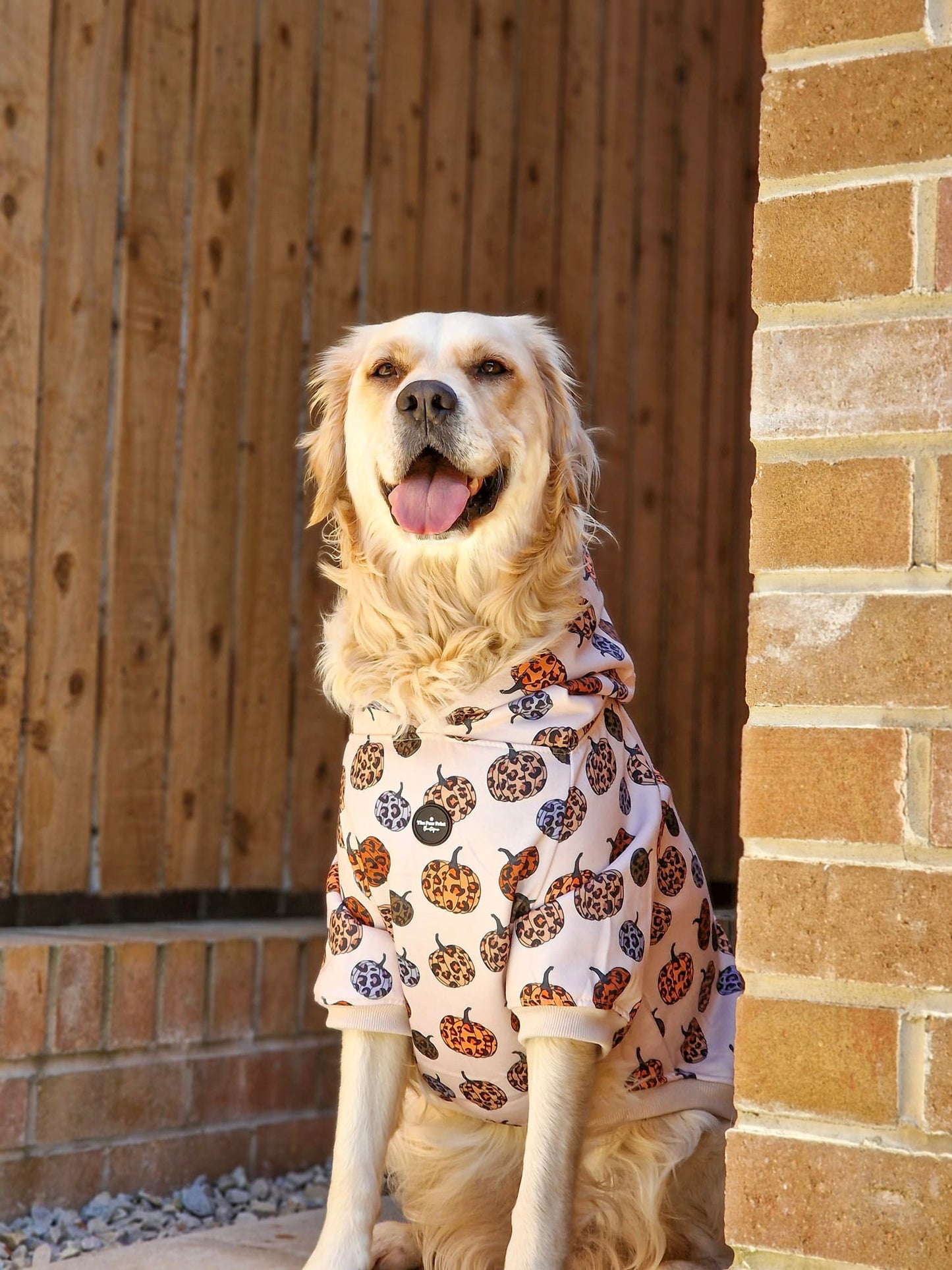 Leopawrd Pupkins Hoodie (All over Pumpkins)