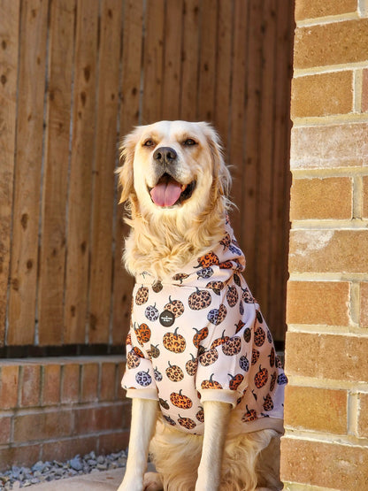 Leopawrd Pupkins Hoodie (All over Pumpkins)