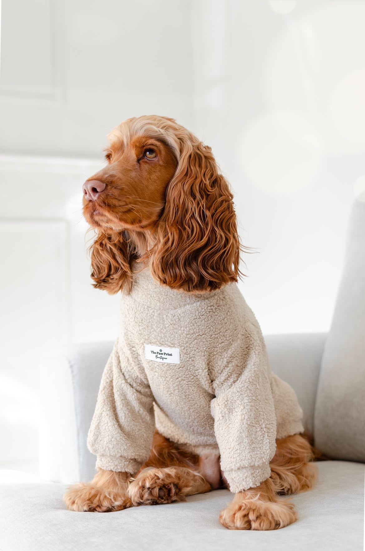 The Beige Teddy Fleece