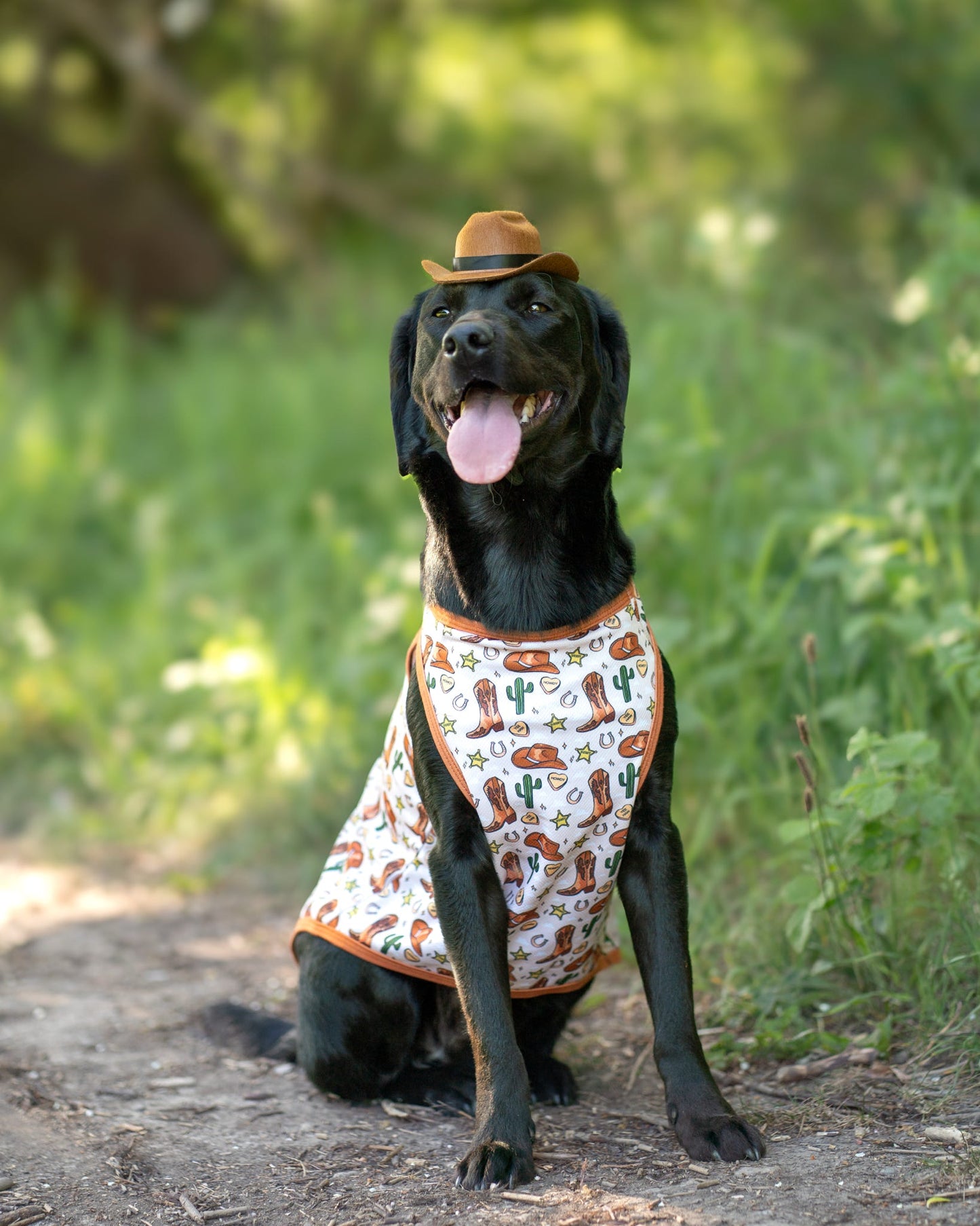 The Howdy Pawtner Cooling Vest