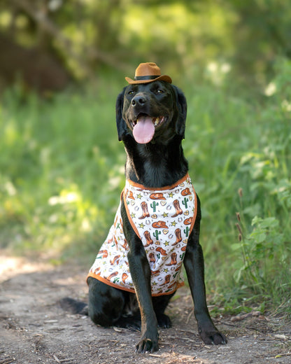 The Howdy Pawtner Cooling Vest