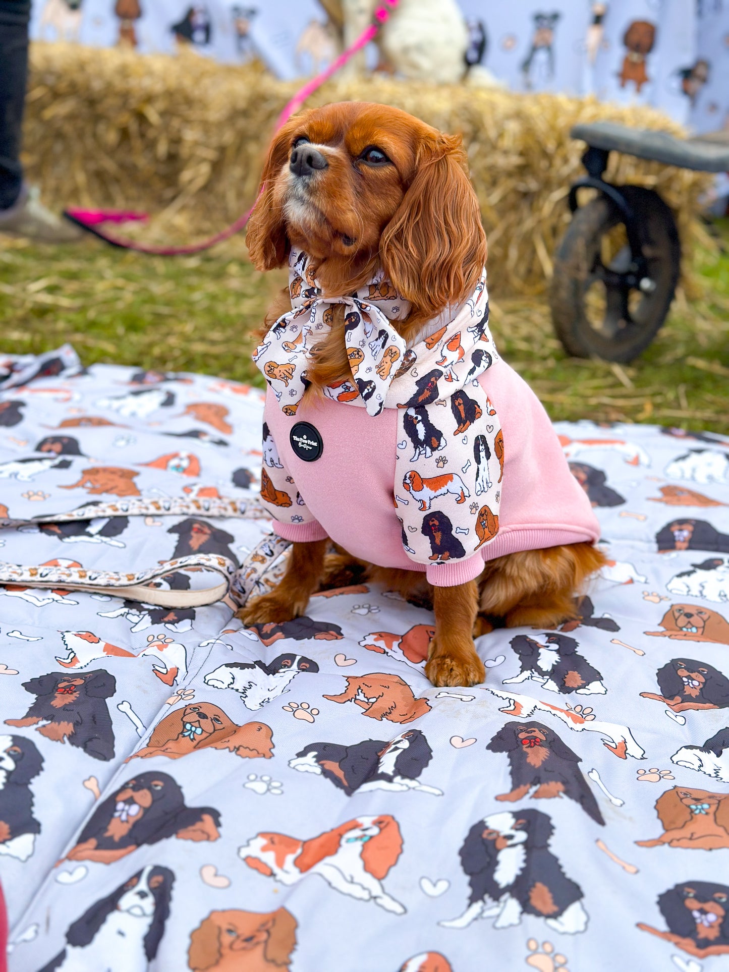 The Cavalier Picnic Mat