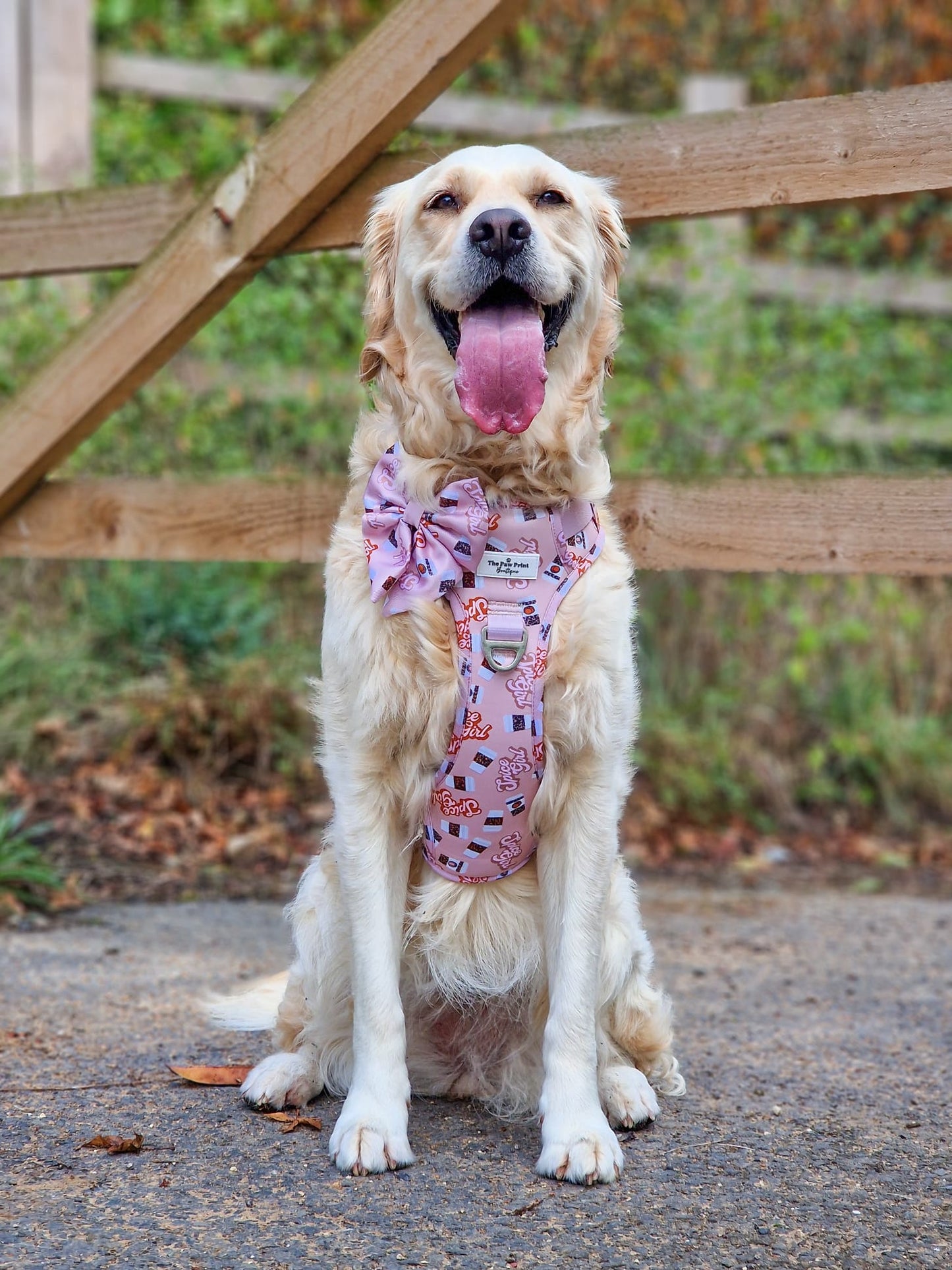 Spice Girl Adventure Paws Harness