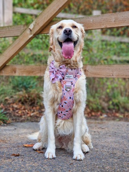 Spice Girl Adventure Paws Harness