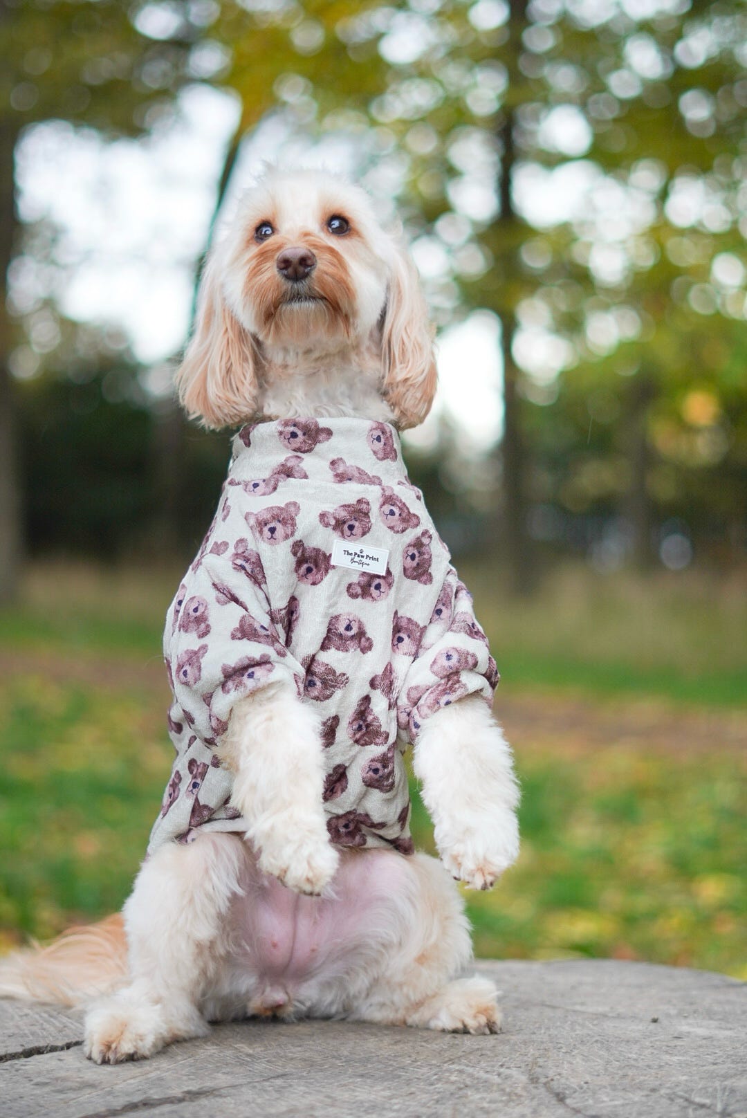 Little Bear Cub Snuggle Fleece