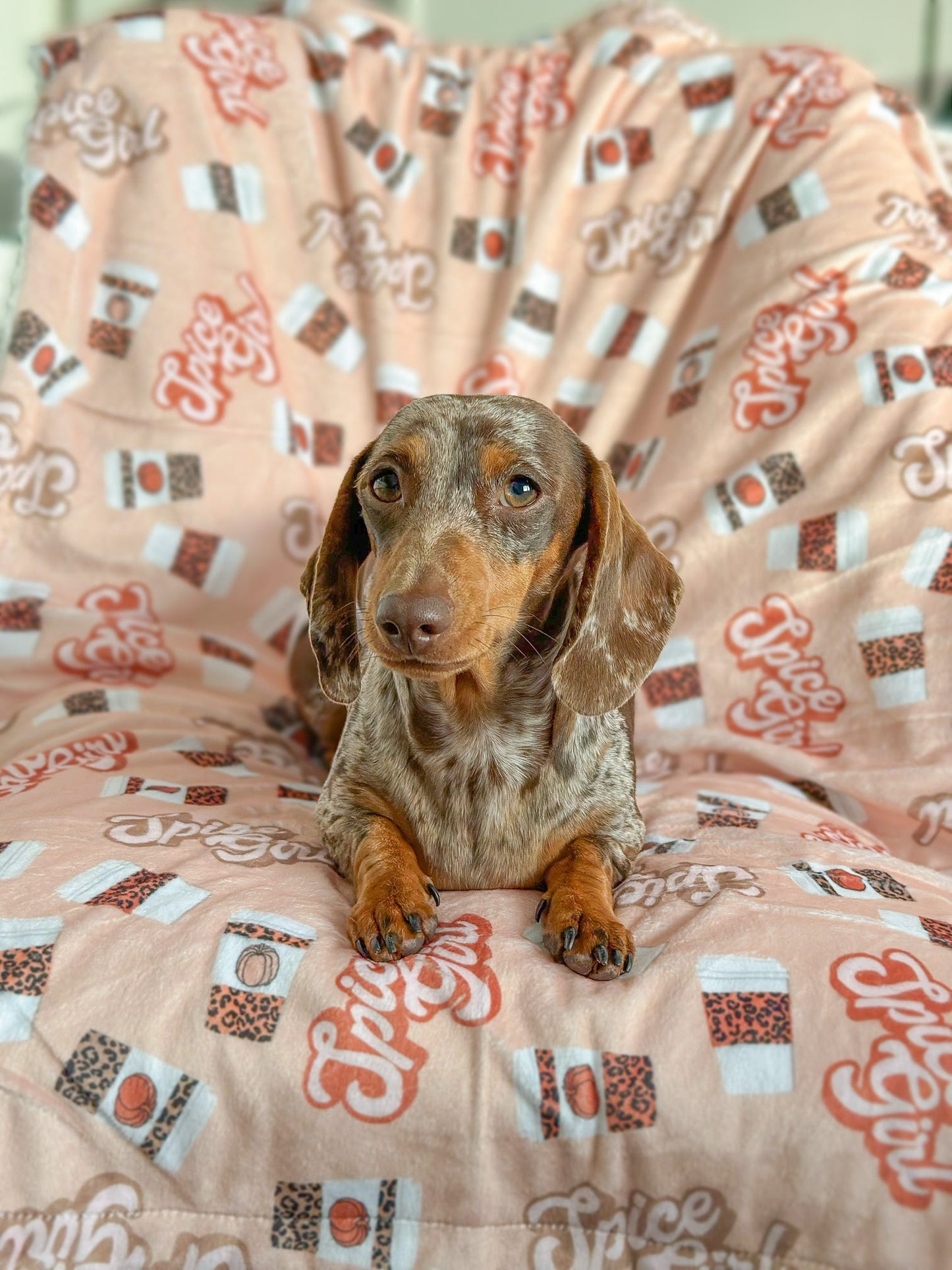 Spice Girl Dog Blanket