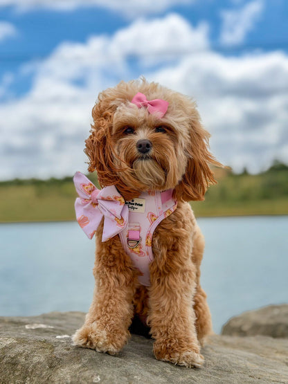 Miami Palms Adventure Paws Harness