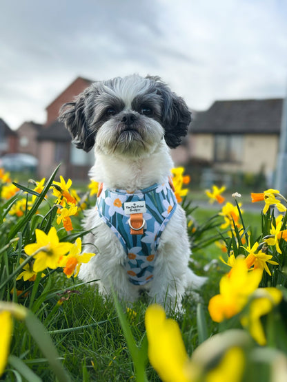 Daffodil Daze Adjustable Harness