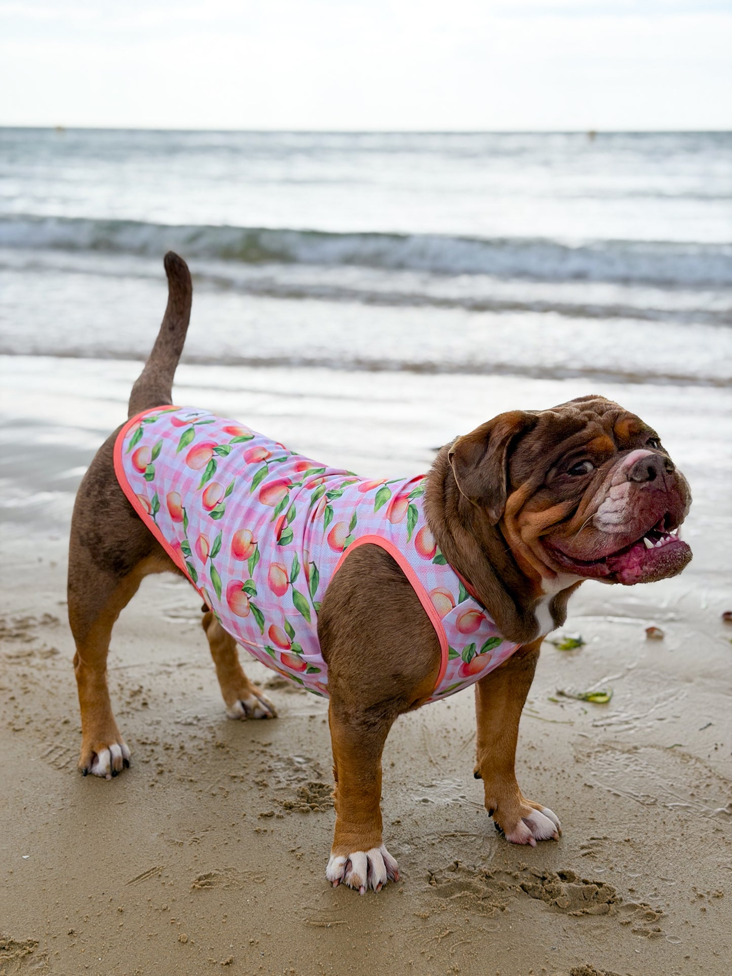 The Peach Gingham Cooling Vest