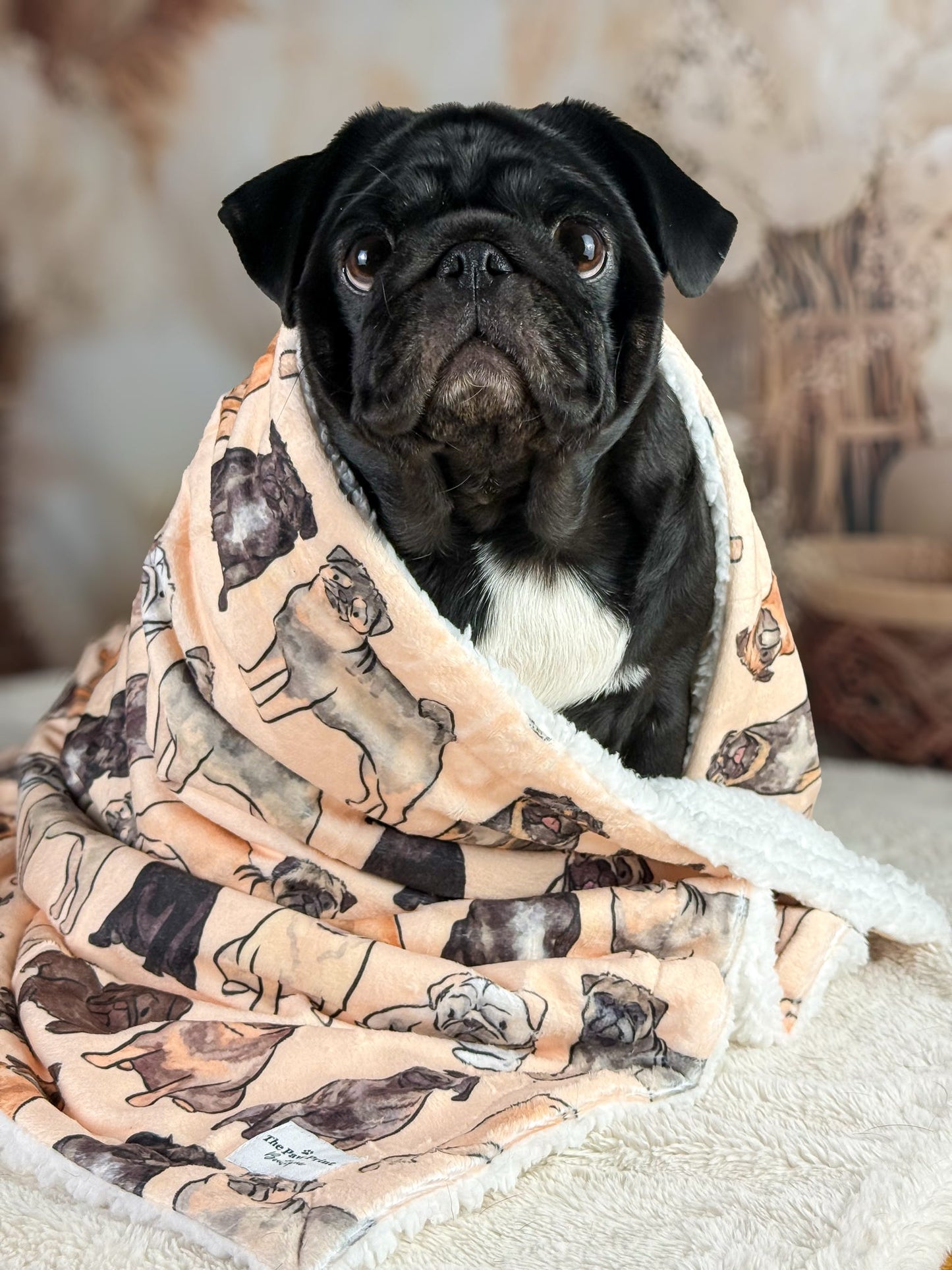 The Pug Dog Blanket