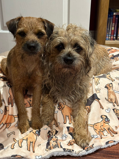 The Border Terrier Dog Blanket - Beige