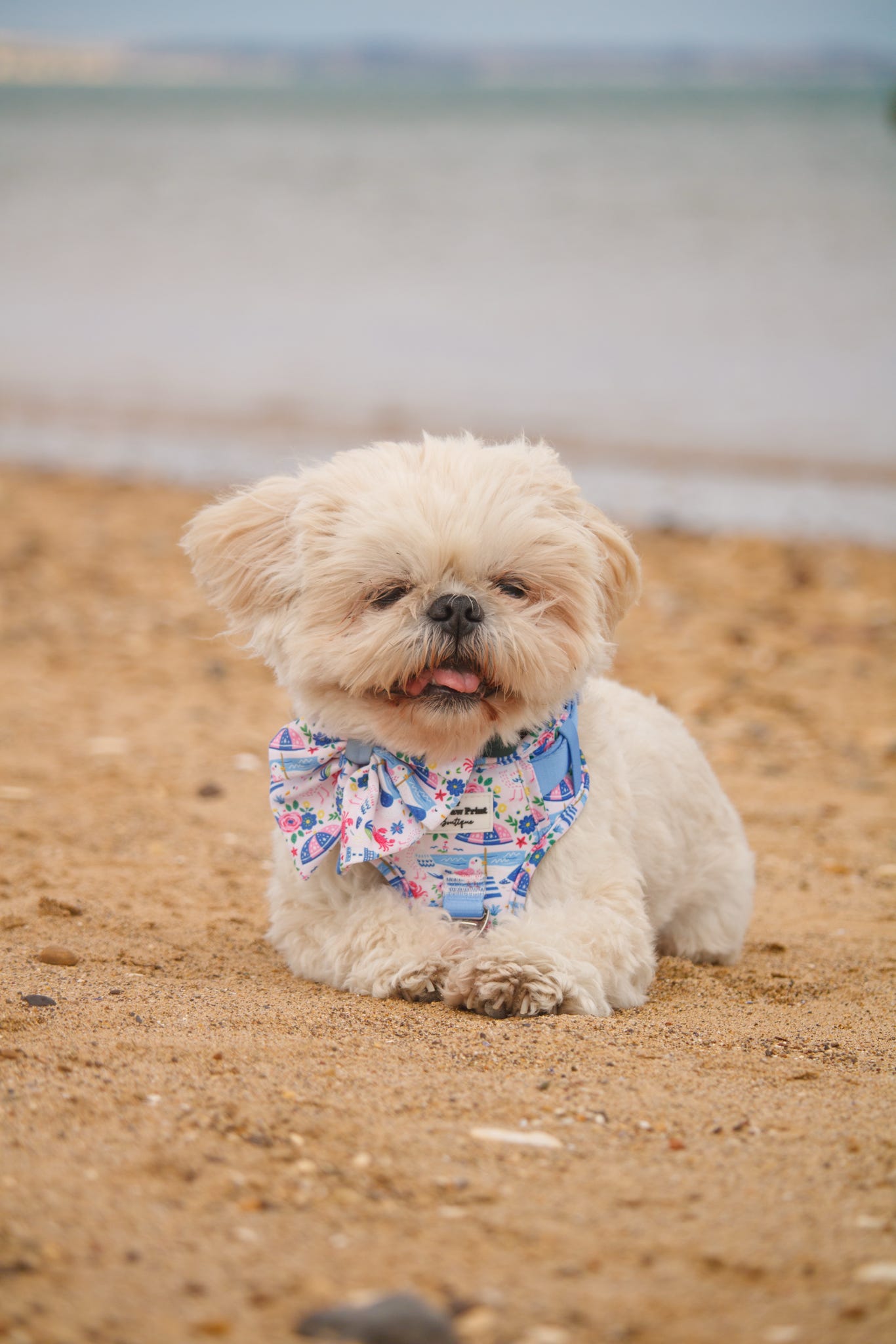 Santorini Seagulls Bow Tie