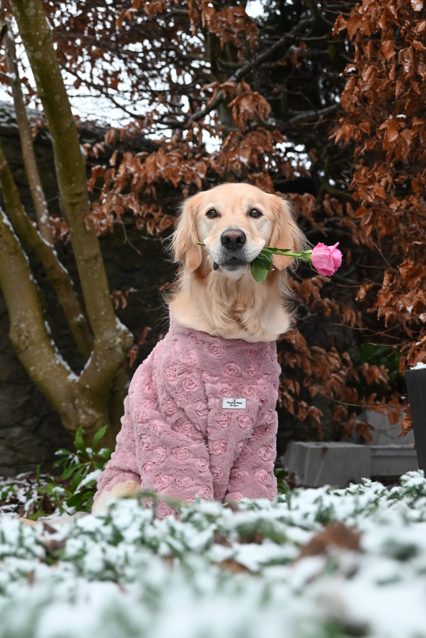 The Roses Fleece - Pink