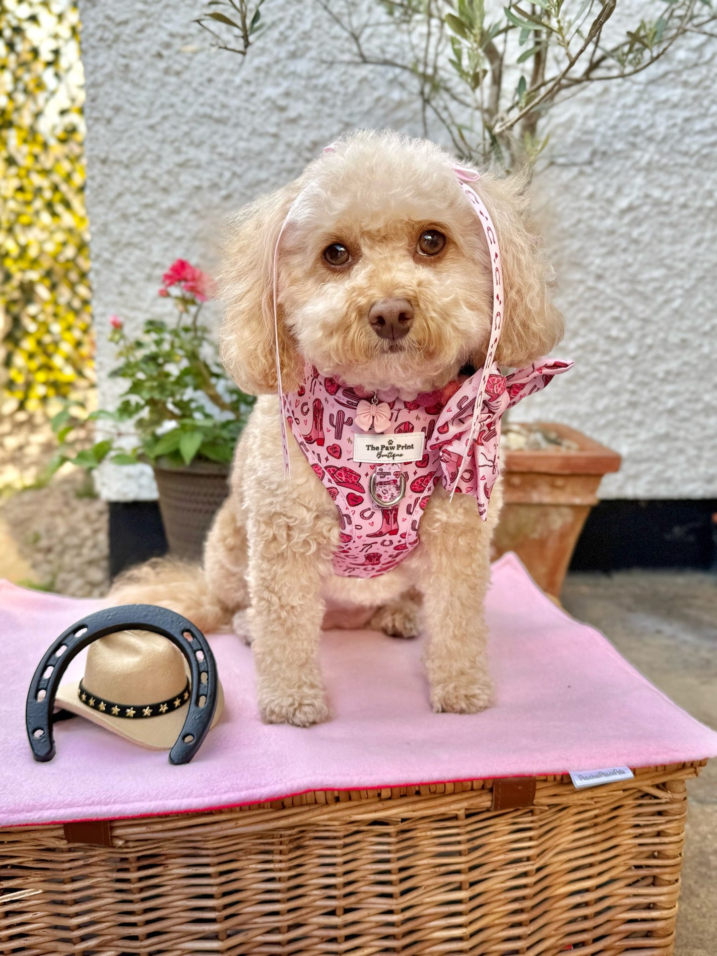 The Giddy up Pup Bow Tie