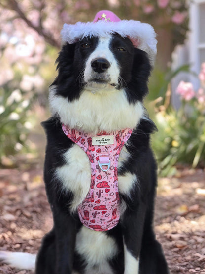 The Giddy up Pup Adventure Paws Harness