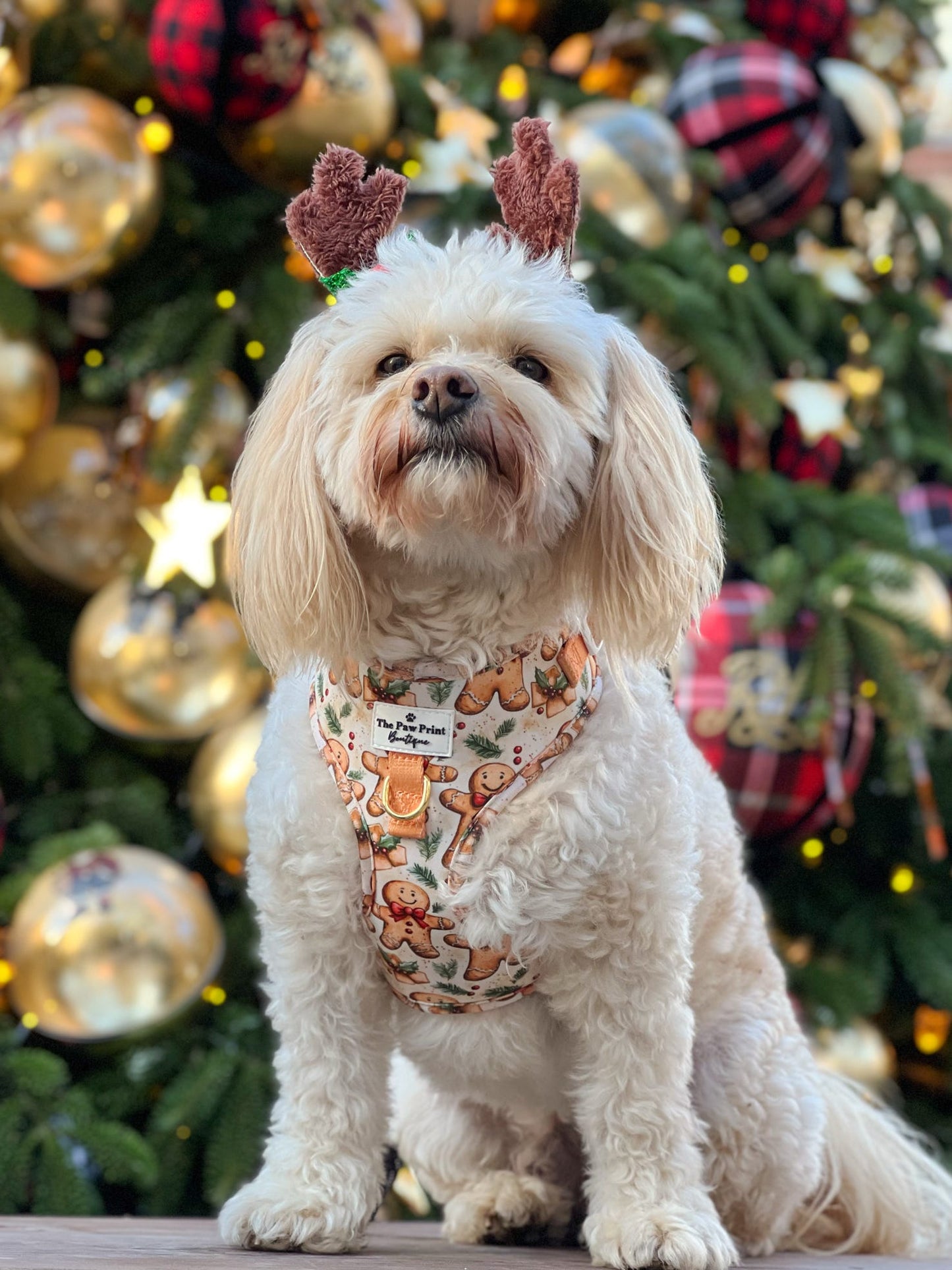 Gingerbread Grove Adjustable Harness