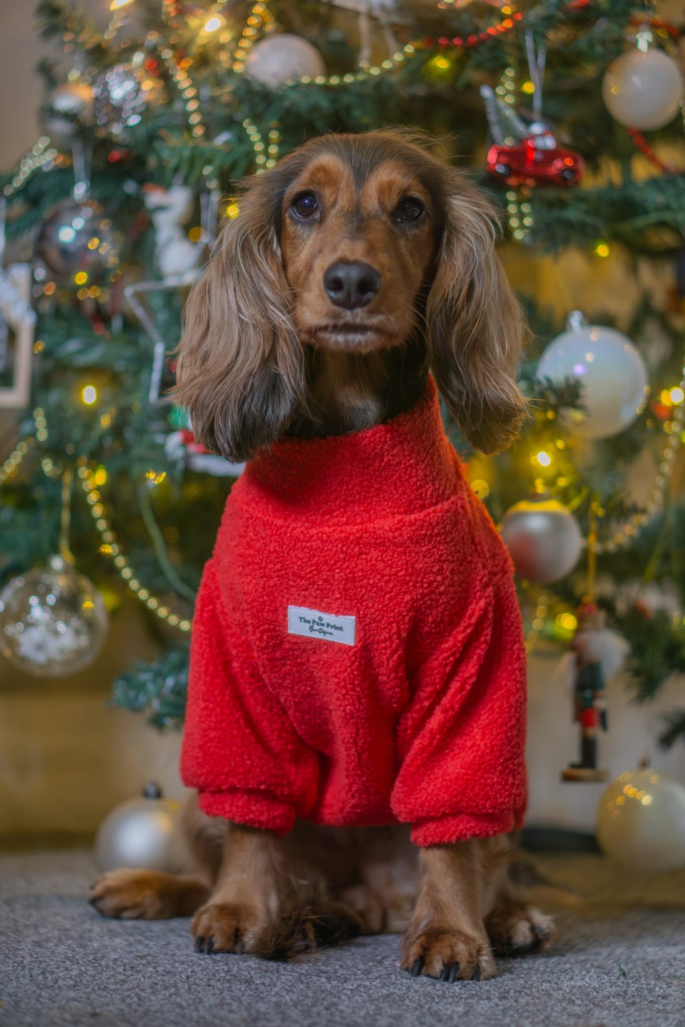 Teddy Fleece - Red Berry