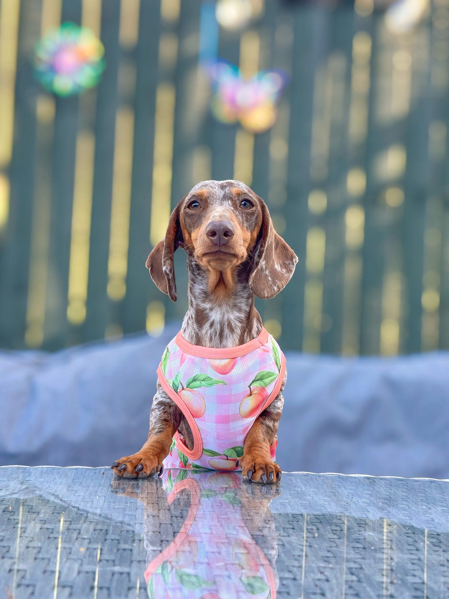 The Peach Gingham Cooling Vest