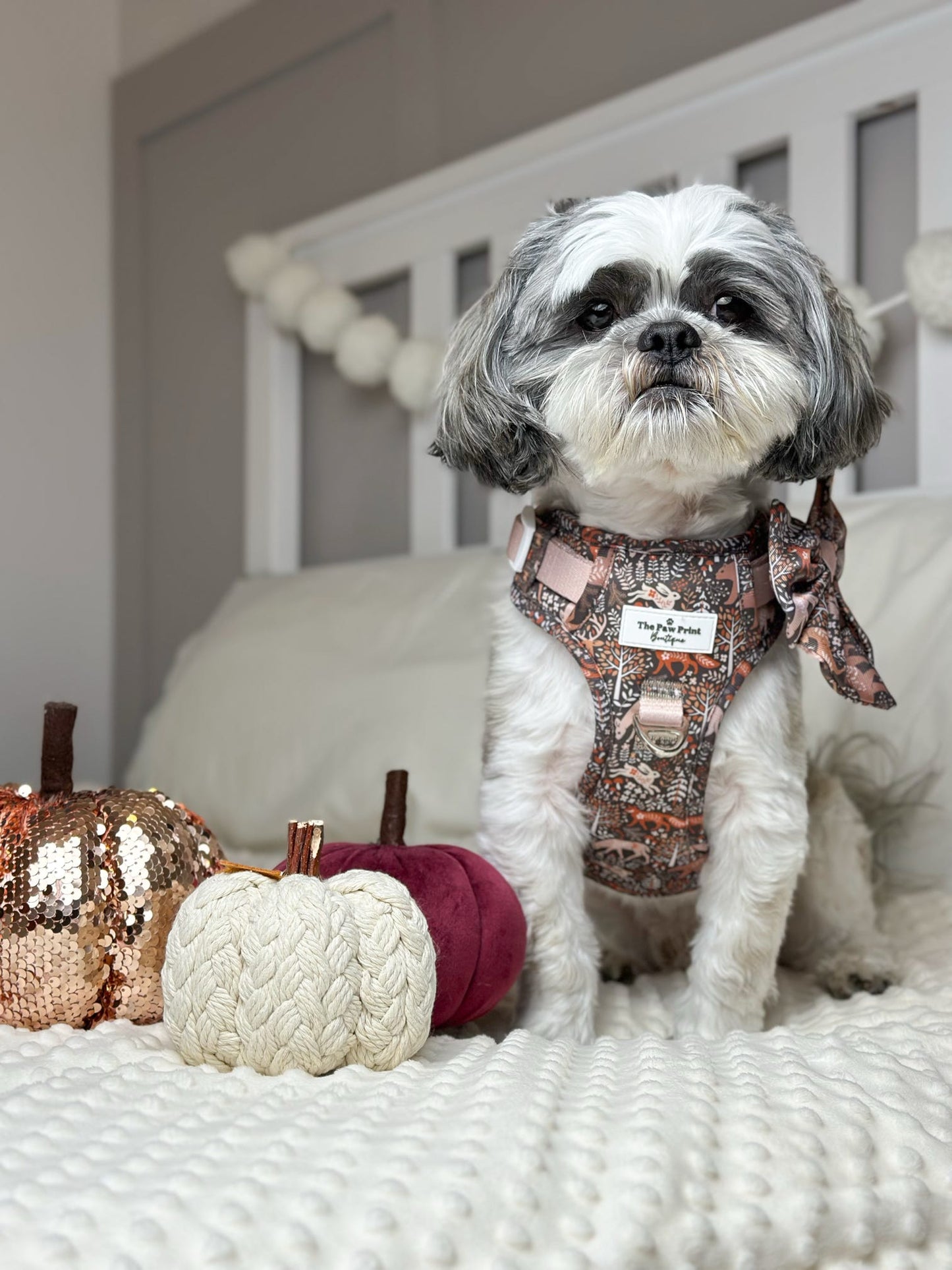 Woodland Wilderness Adventure Paws Harness