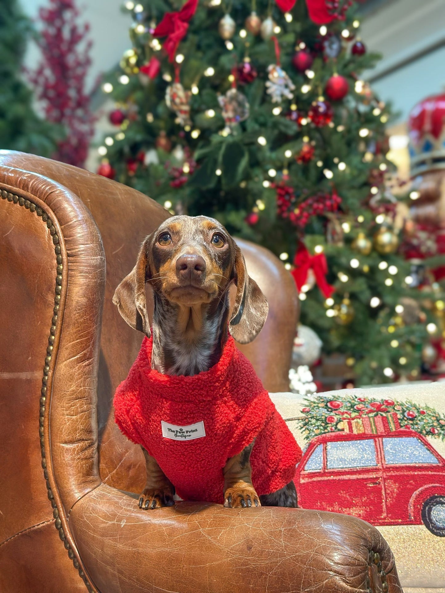 Teddy Fleece - Red Berry