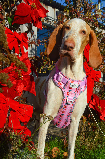 Merry Pinkmas Adventure Paws Harness