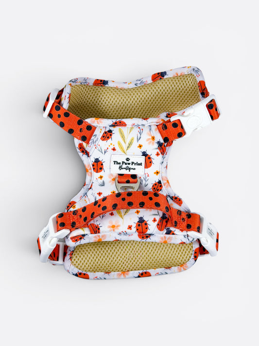 Ladybird Lane Adventure Paws Harness