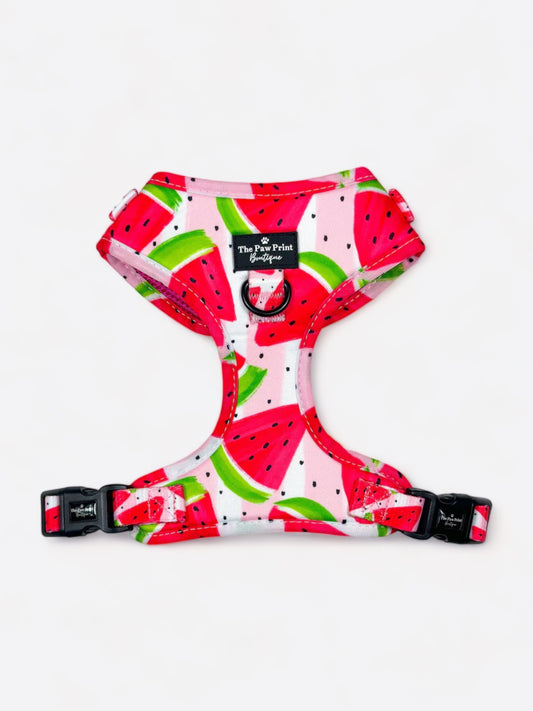 The Watermelon Sugar Adjustable Harness