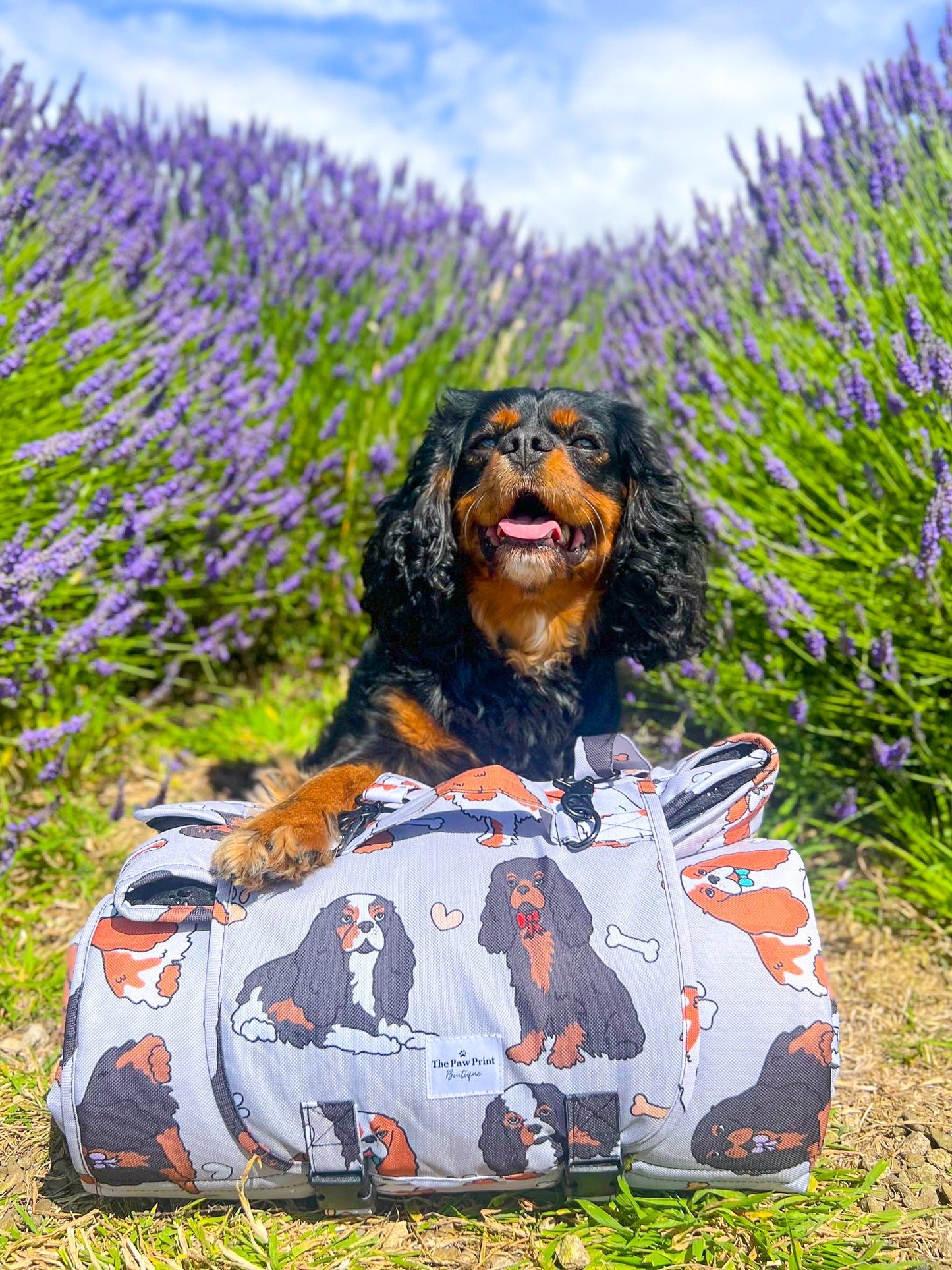 The Cavalier Picnic Mat