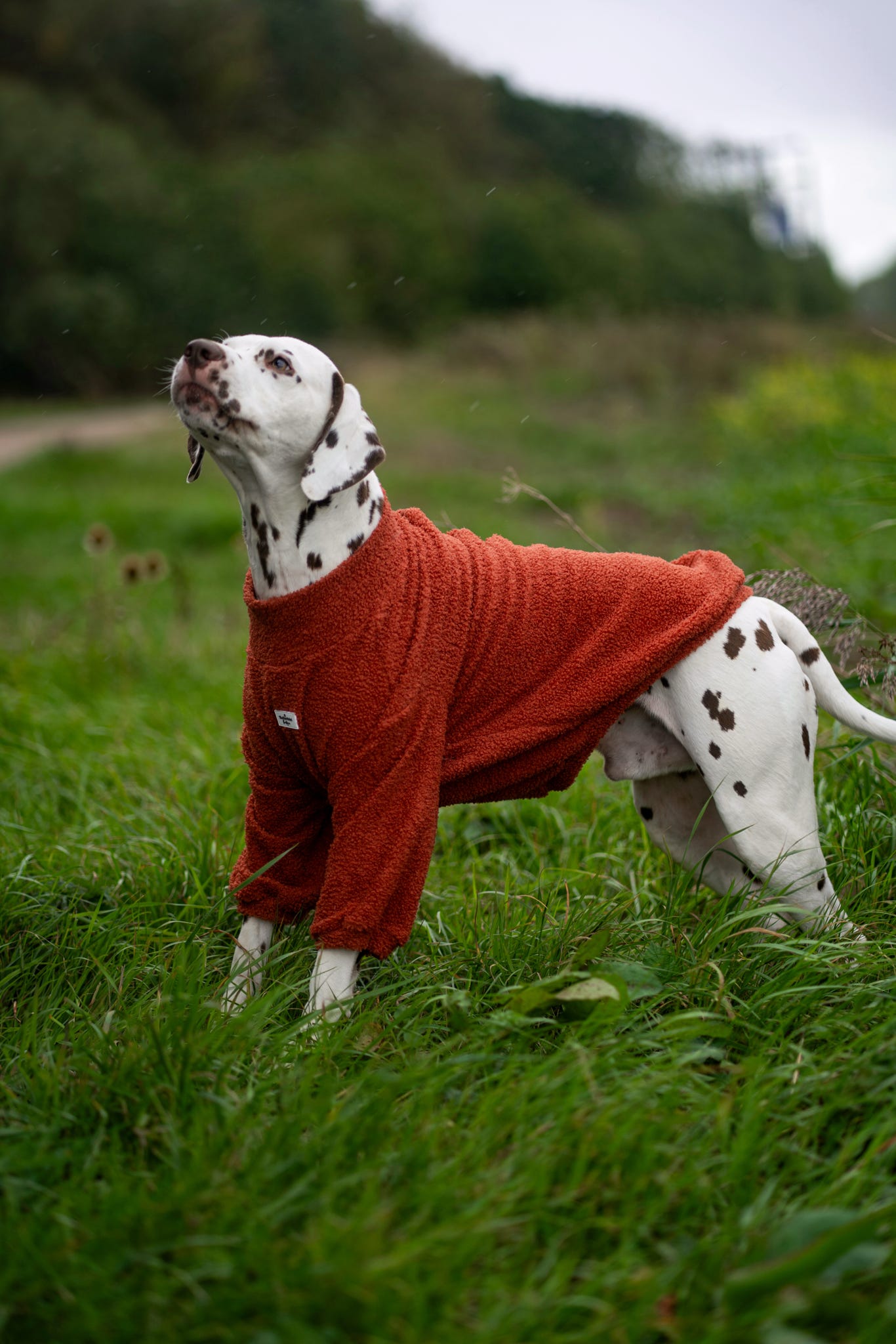 Teddy Fleece - Burnt Orange