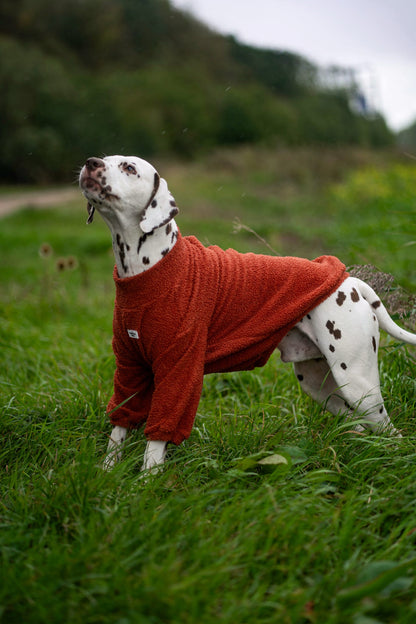 Teddy Fleece - Burnt Orange
