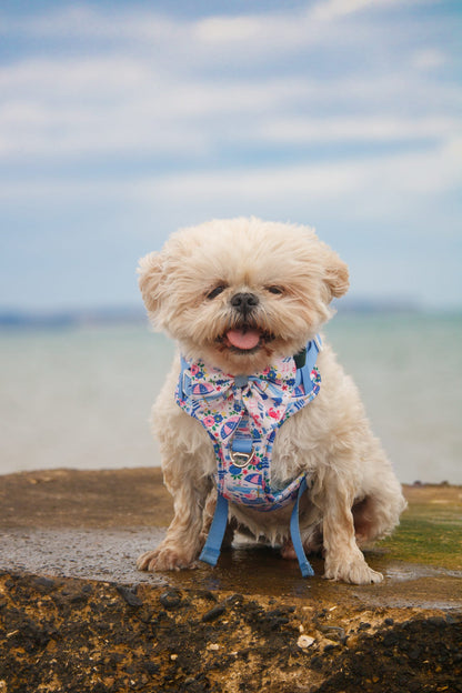 Santorini Seagulls Adventure Paws Harness