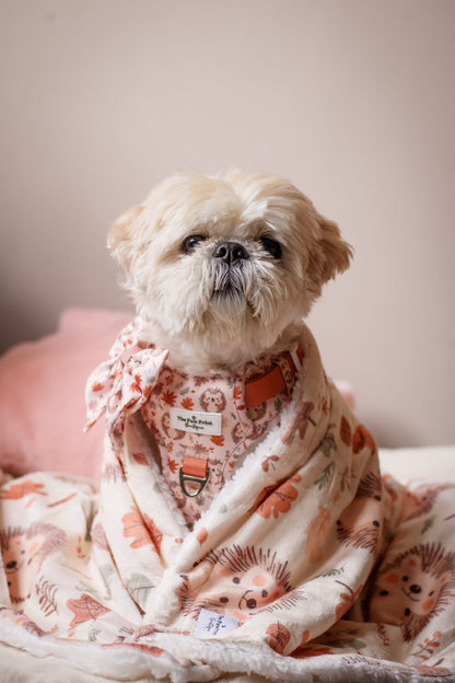 Spike the Hedgehog Dog Blanket