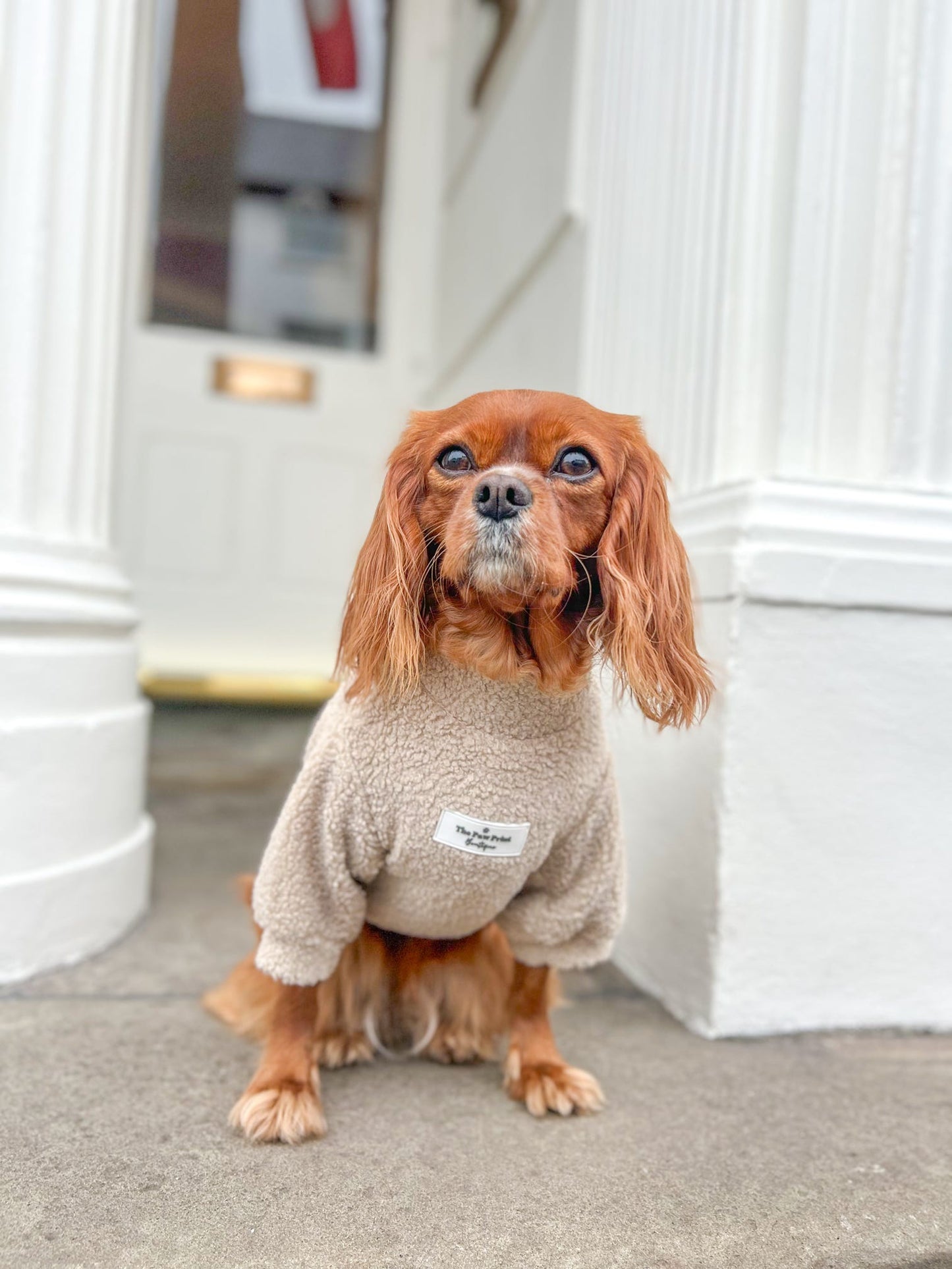 The Beige Teddy Fleece