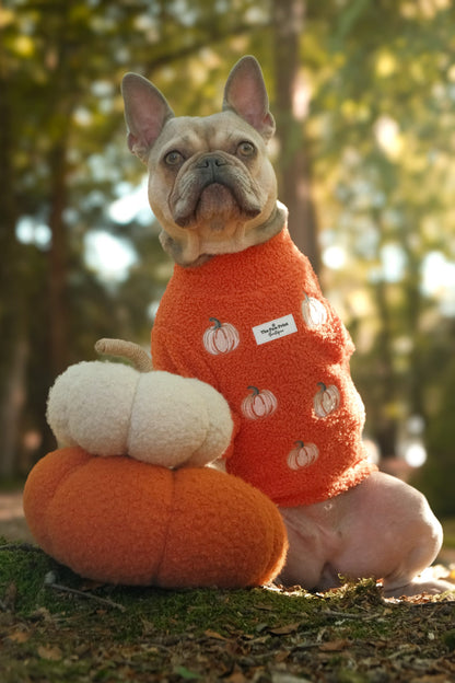 The Embroidered Pumpkins Teddy Fleece