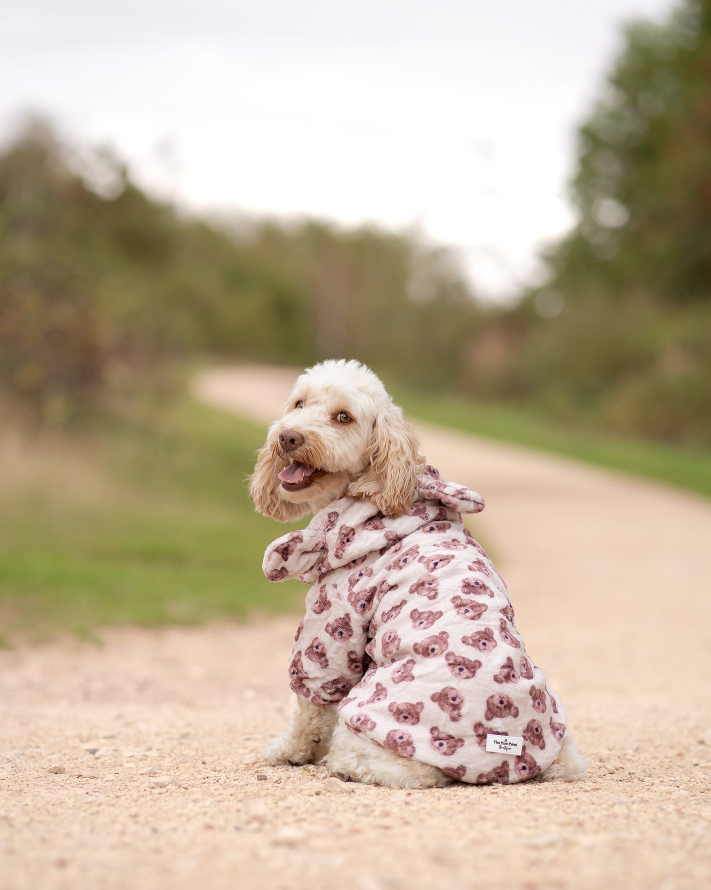 The Little Bear Cub Snuggle Fleece (With Hood & Ears)
