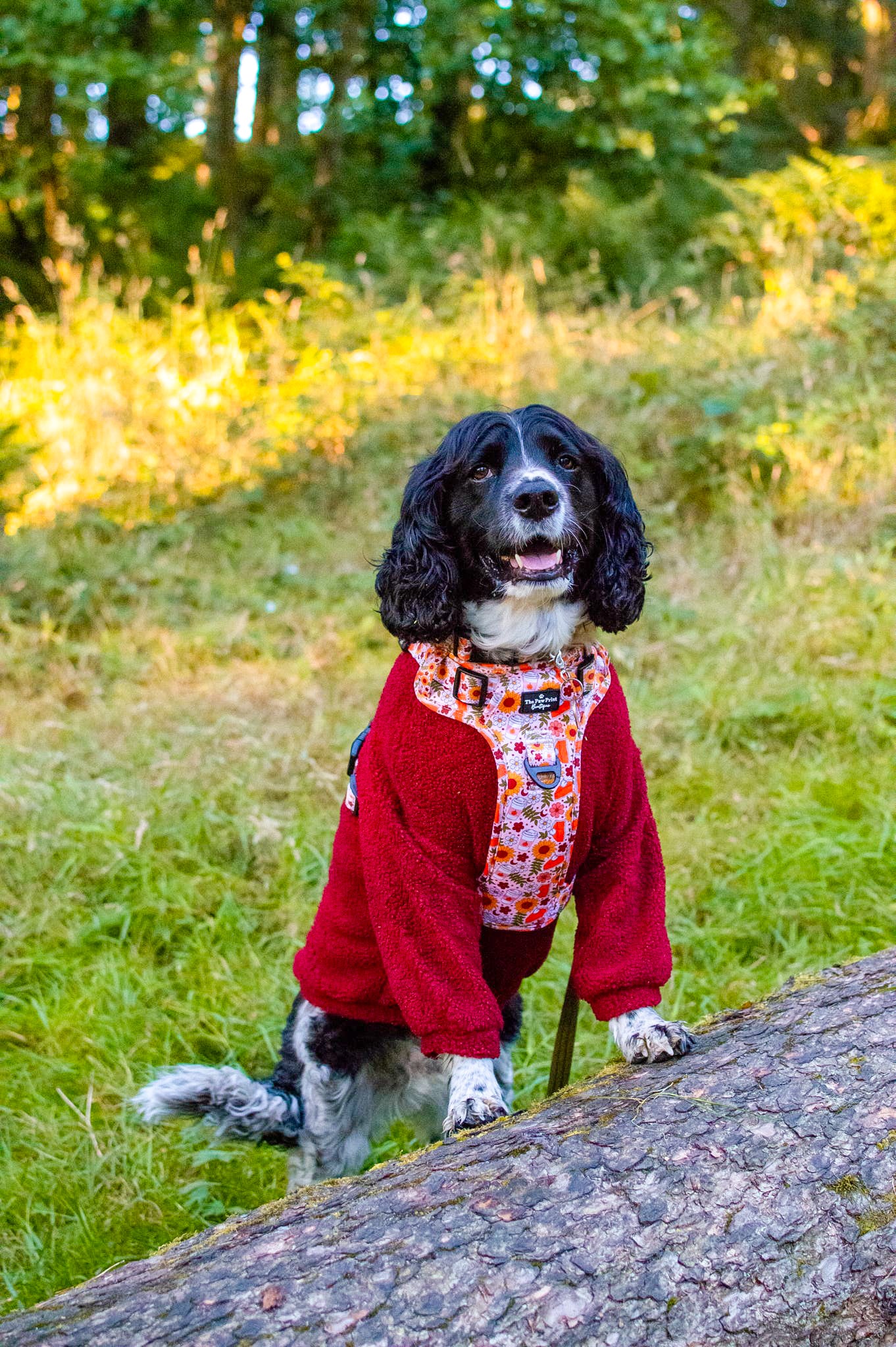 The Mulberry Teddy Fleece