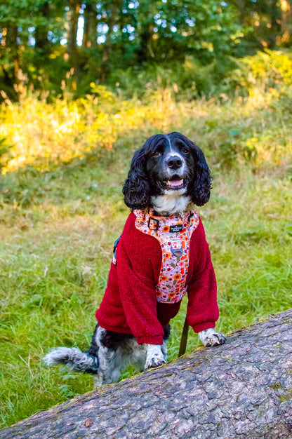 The Mulberry Teddy Fleece