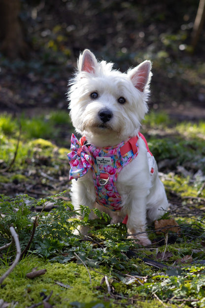 The Tulip Field Bow Tie