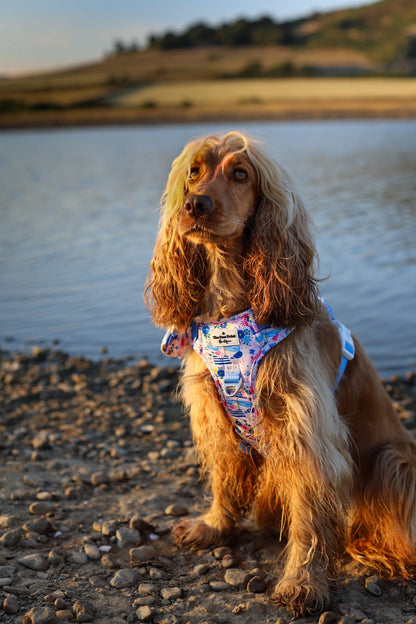 Santorini Seagulls Adventure Paws Harness