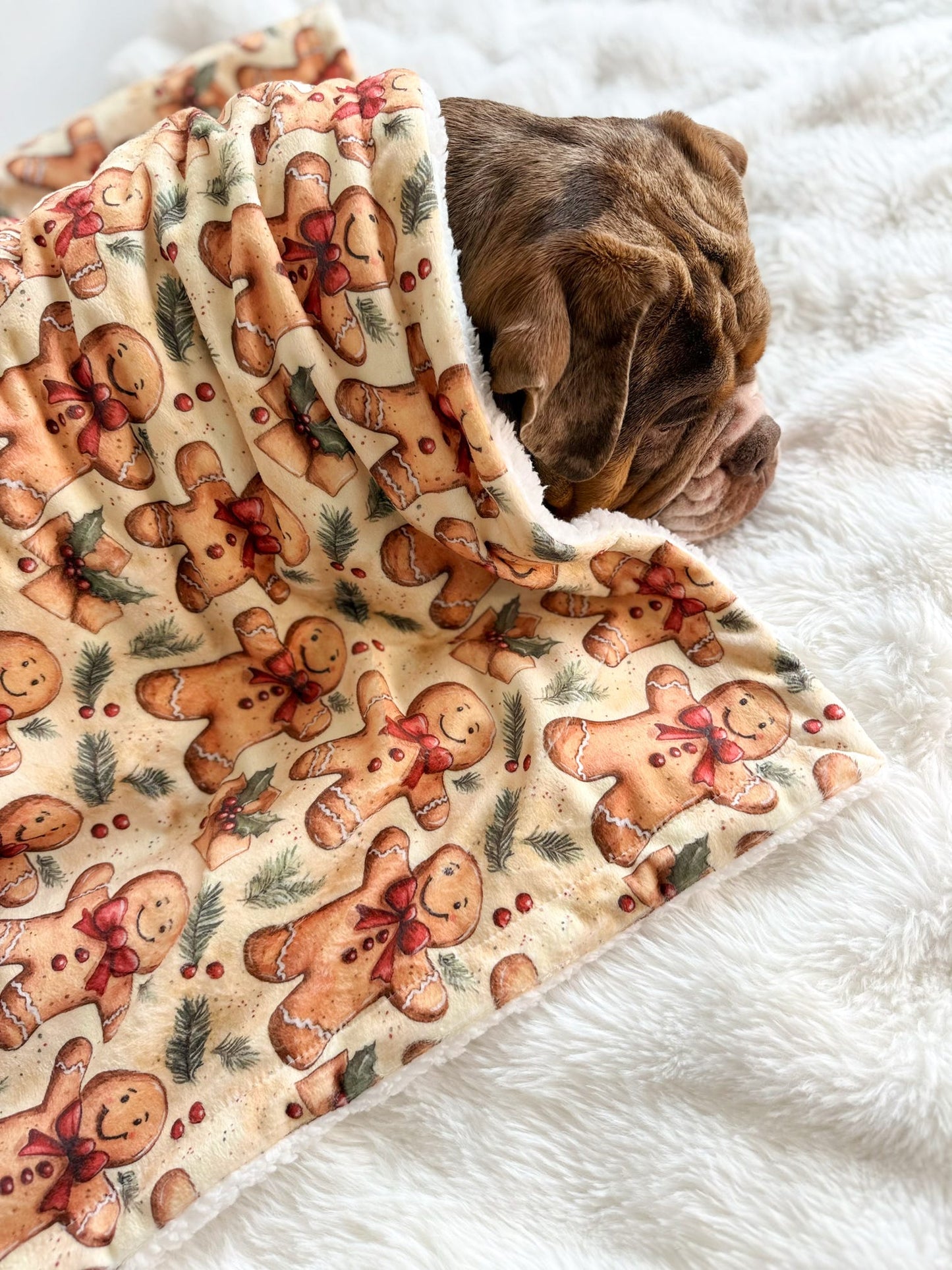 Gingerbread Grove Dog Blanket