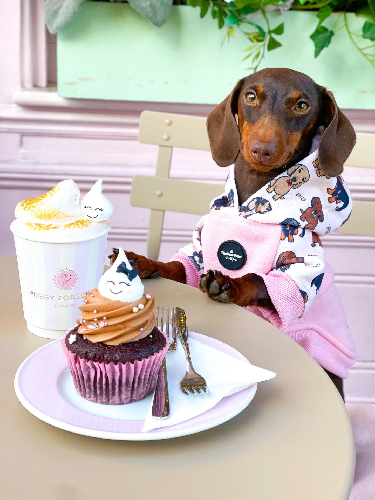 The Dachshund Dog Hoodie - Baby Pink