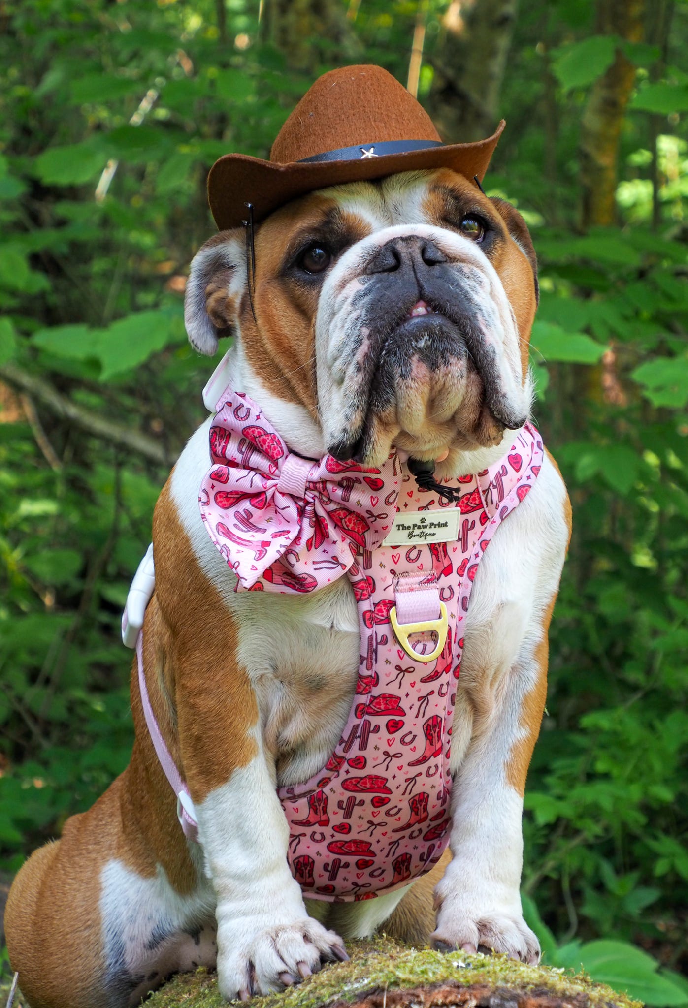 The Giddy up Pup Adventure Paws Harness