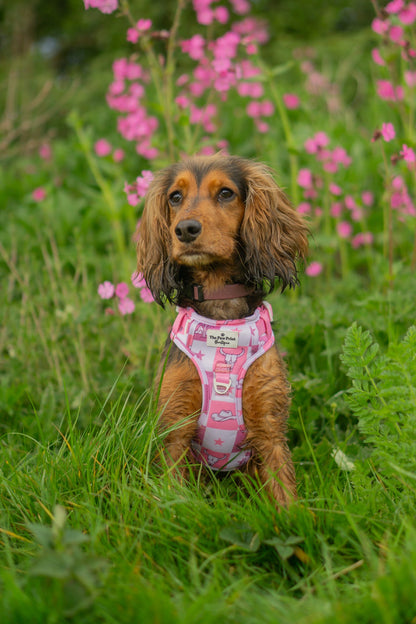 Cowgirl Cutie Adventure Paws Harness